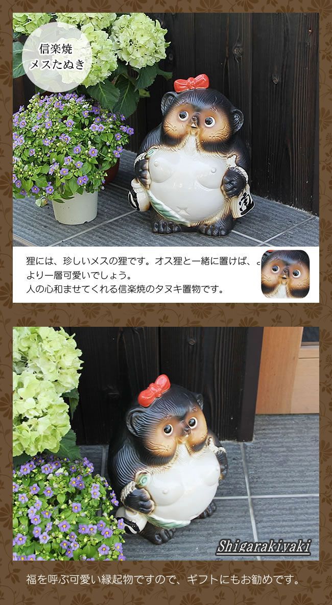 可愛いたぬき タヌキ 置物 珍しいタイプ｜置物