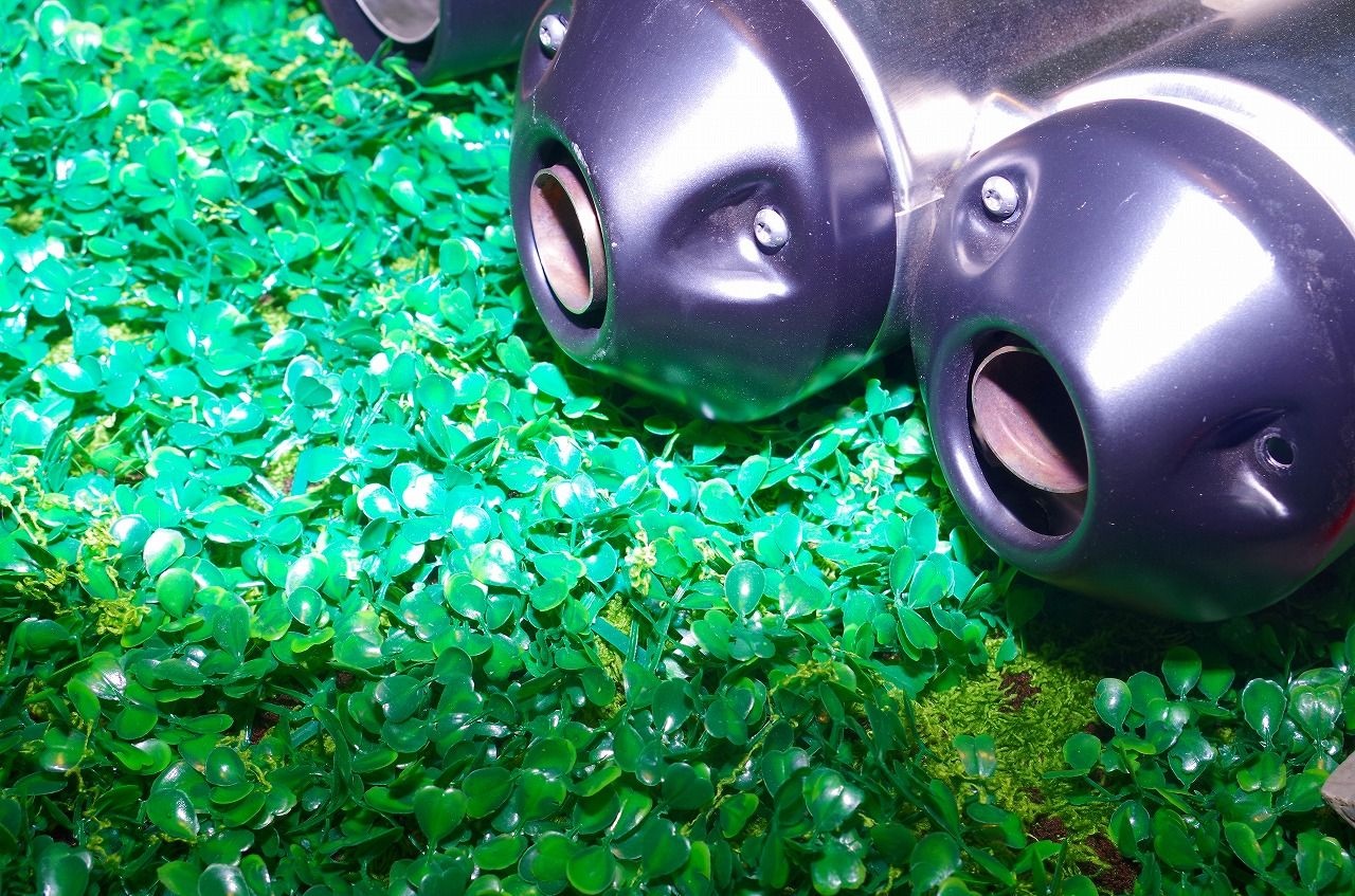 ハーレー スポーツスターS