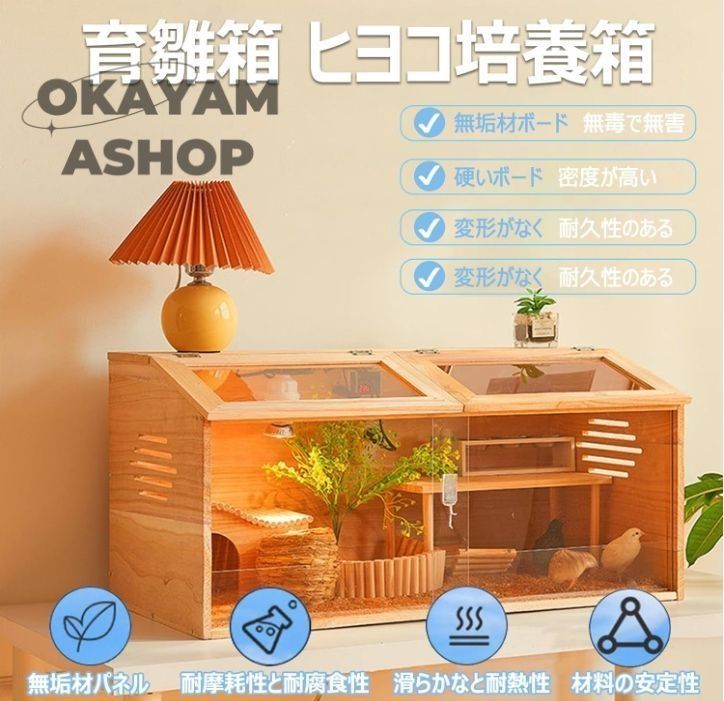 透明