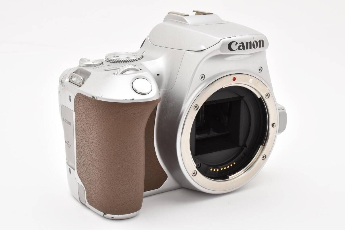 Canon EOS Kiss X7 EF-S18-55mm レンズキット 美品 Canon DSLR Camera