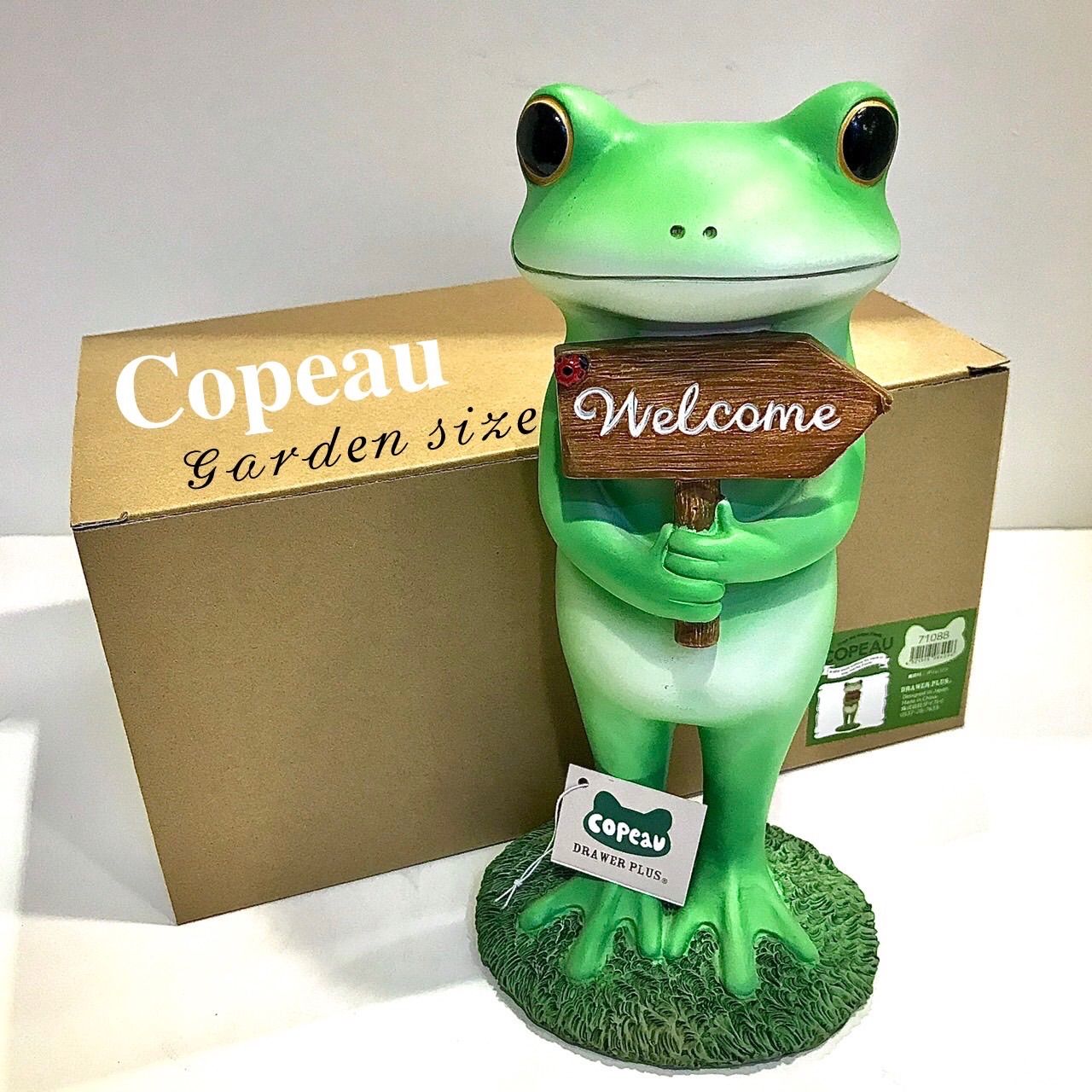 ダイカイ コポー《Copeau》☆Garden size☆ ウェルカムコポタロウ