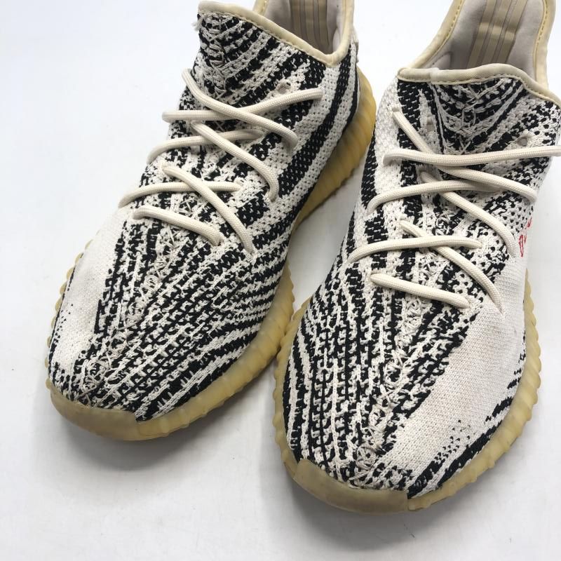 V2 Zebra