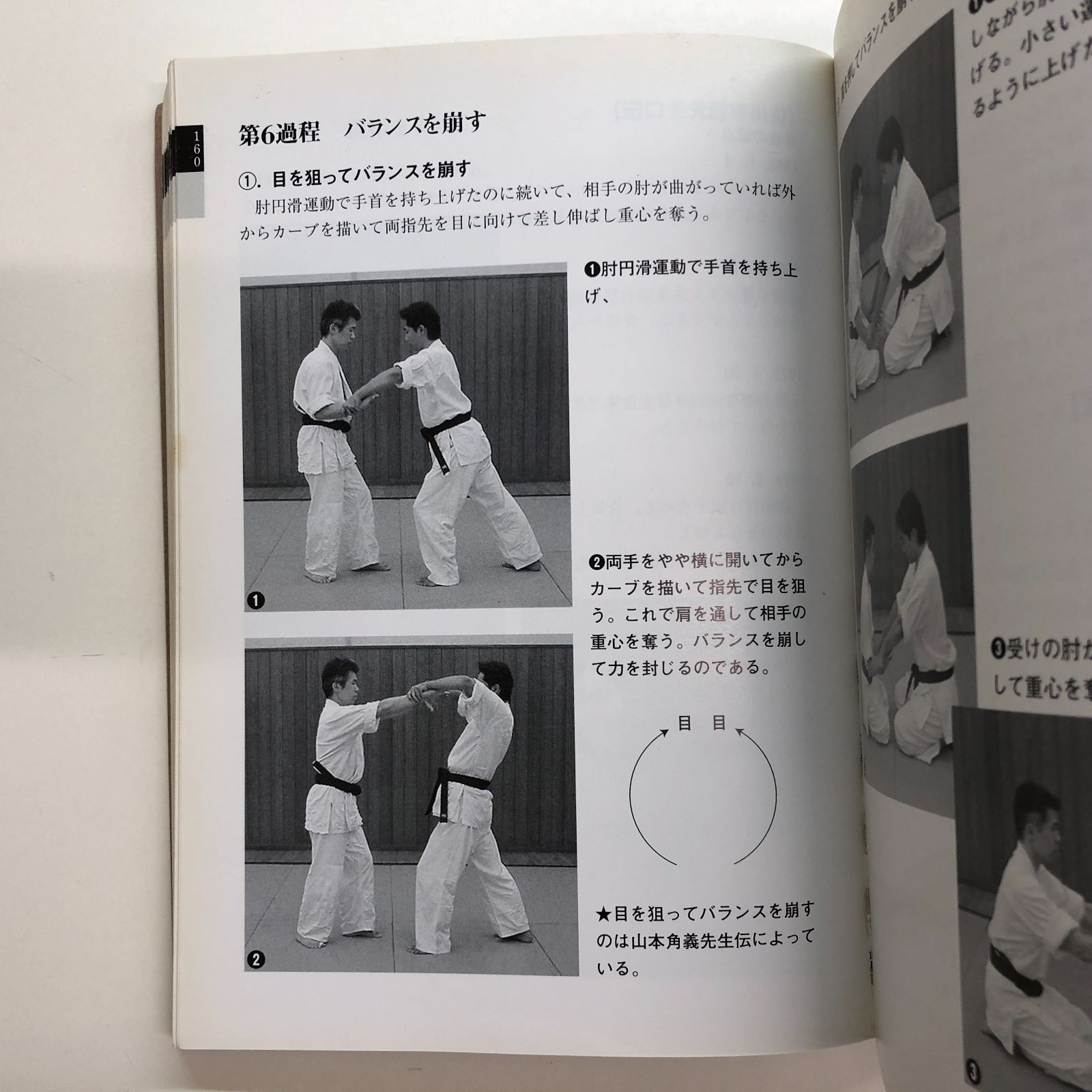 合気道の奥義 T-1-4583036620]合気道の奥義: 呼吸力・勁力を体得する! 吉丸 慶