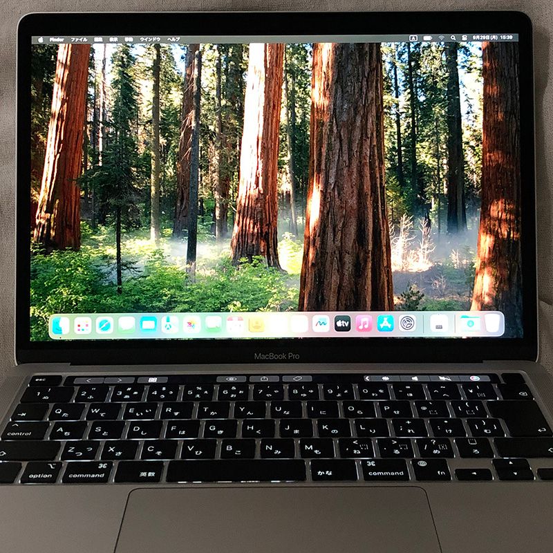 本体のみ】Apple MacBook Pro (13インチ M1 2020)【M1チップ・メモリ