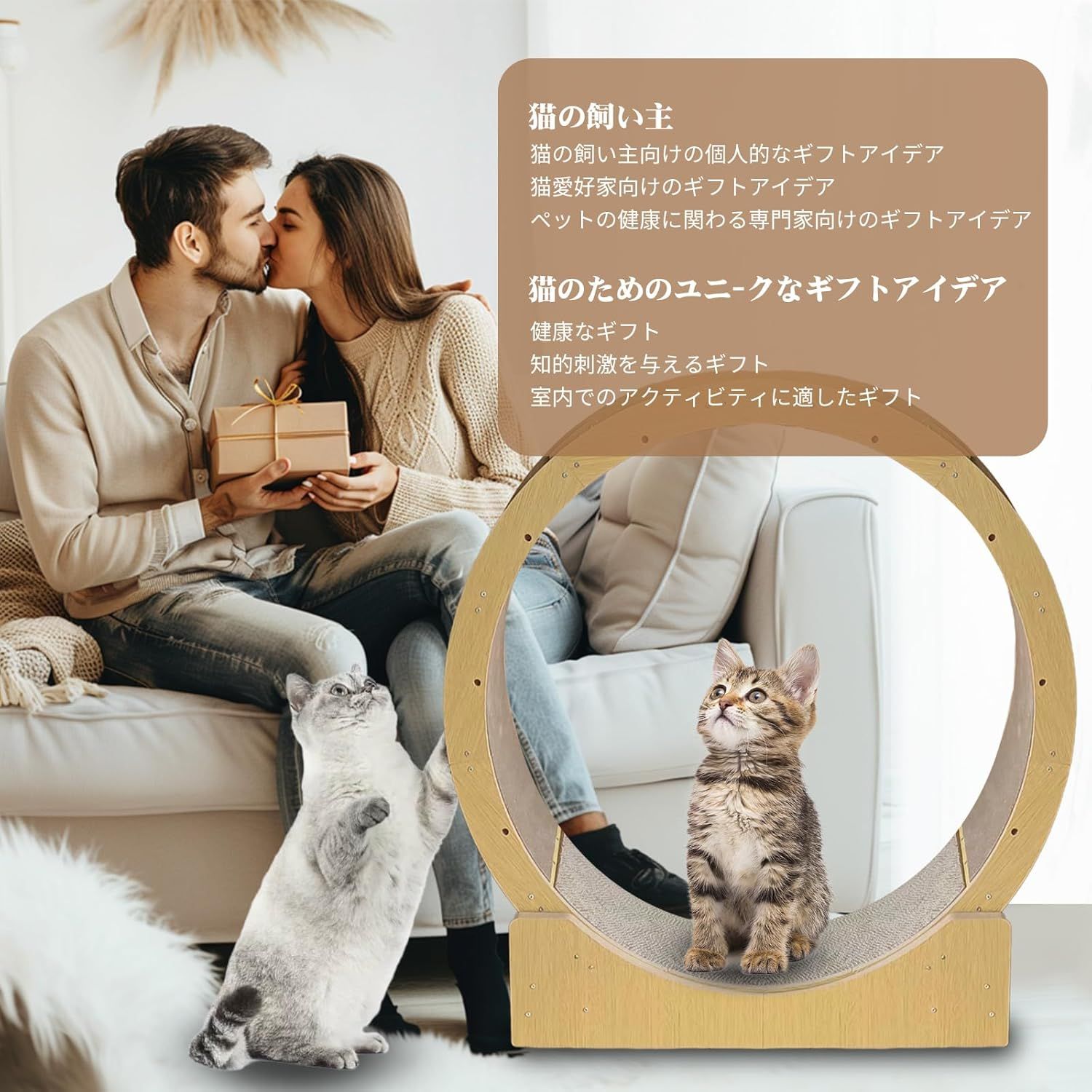 な6枚の波板でできていますルとみなせる円形猫
