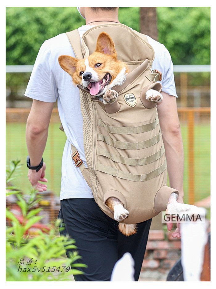 犬用