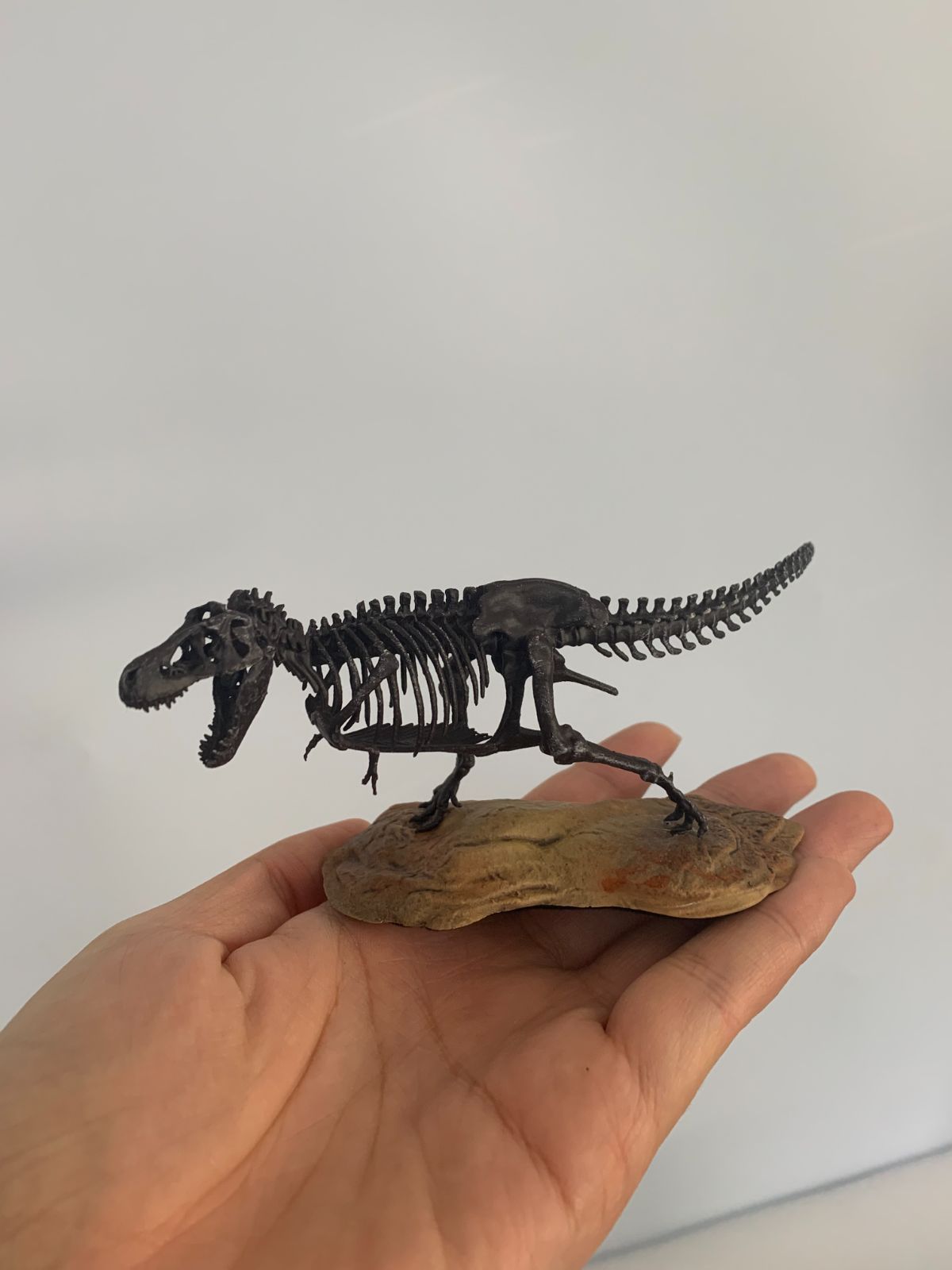 1/72 ティラノサウルス Tレックス T-REX 恐竜 骨格 フィギュア 1/72 ティラノサウルス Tレックス T-REX 恐竜 骨格 フィギュア