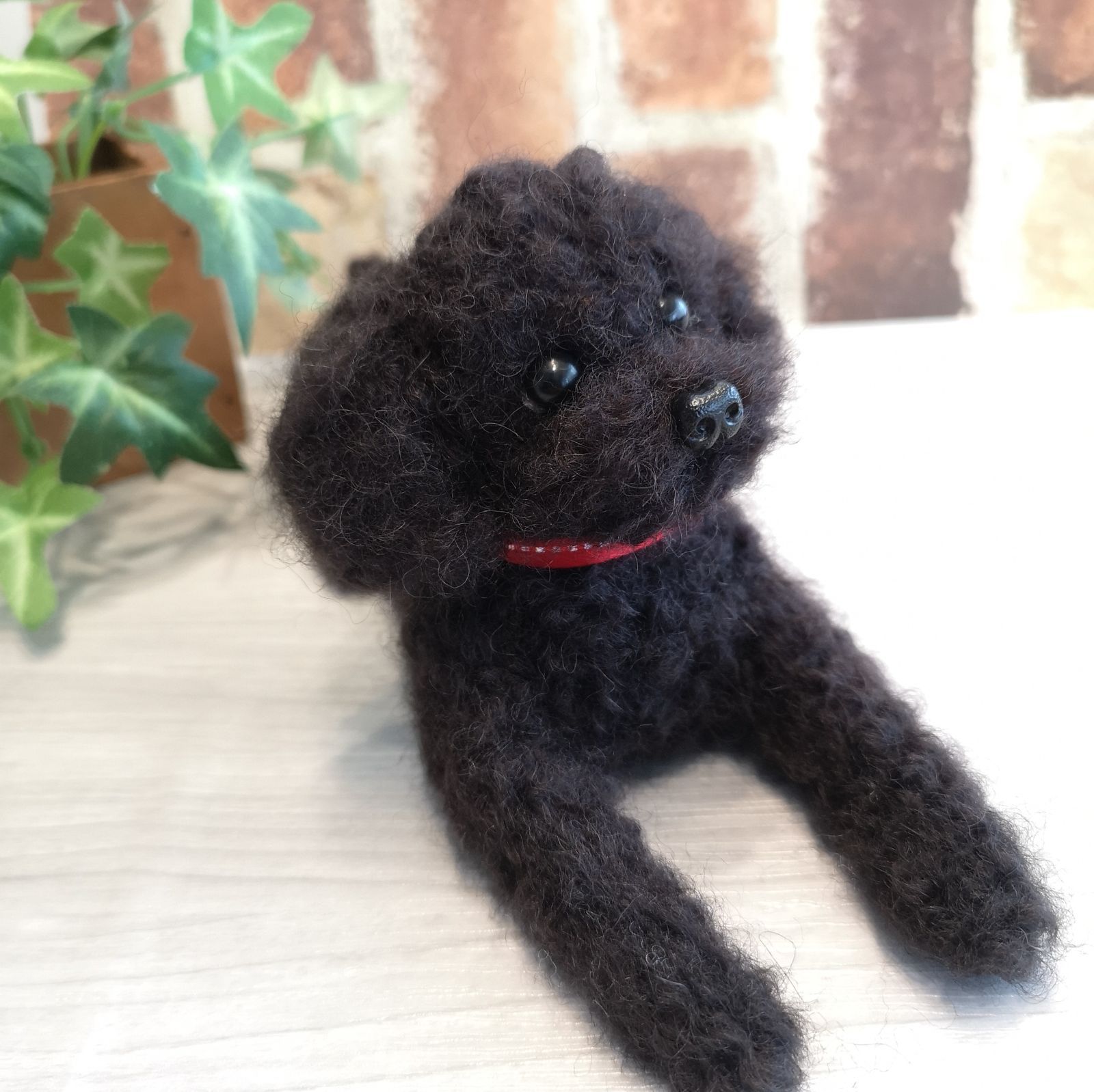 トイプードル(ブラック(黒)系)の子犬を価格や特徴で探す|ペット