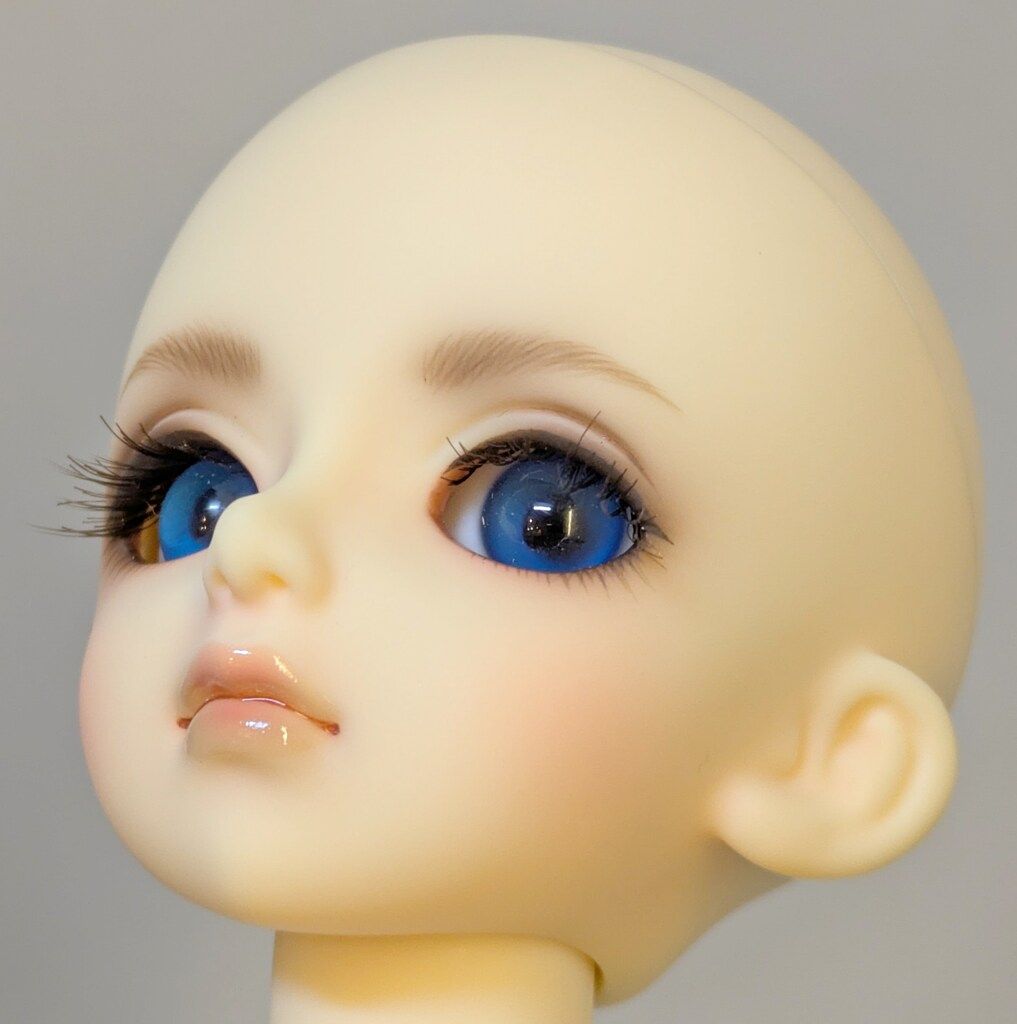 ボークス