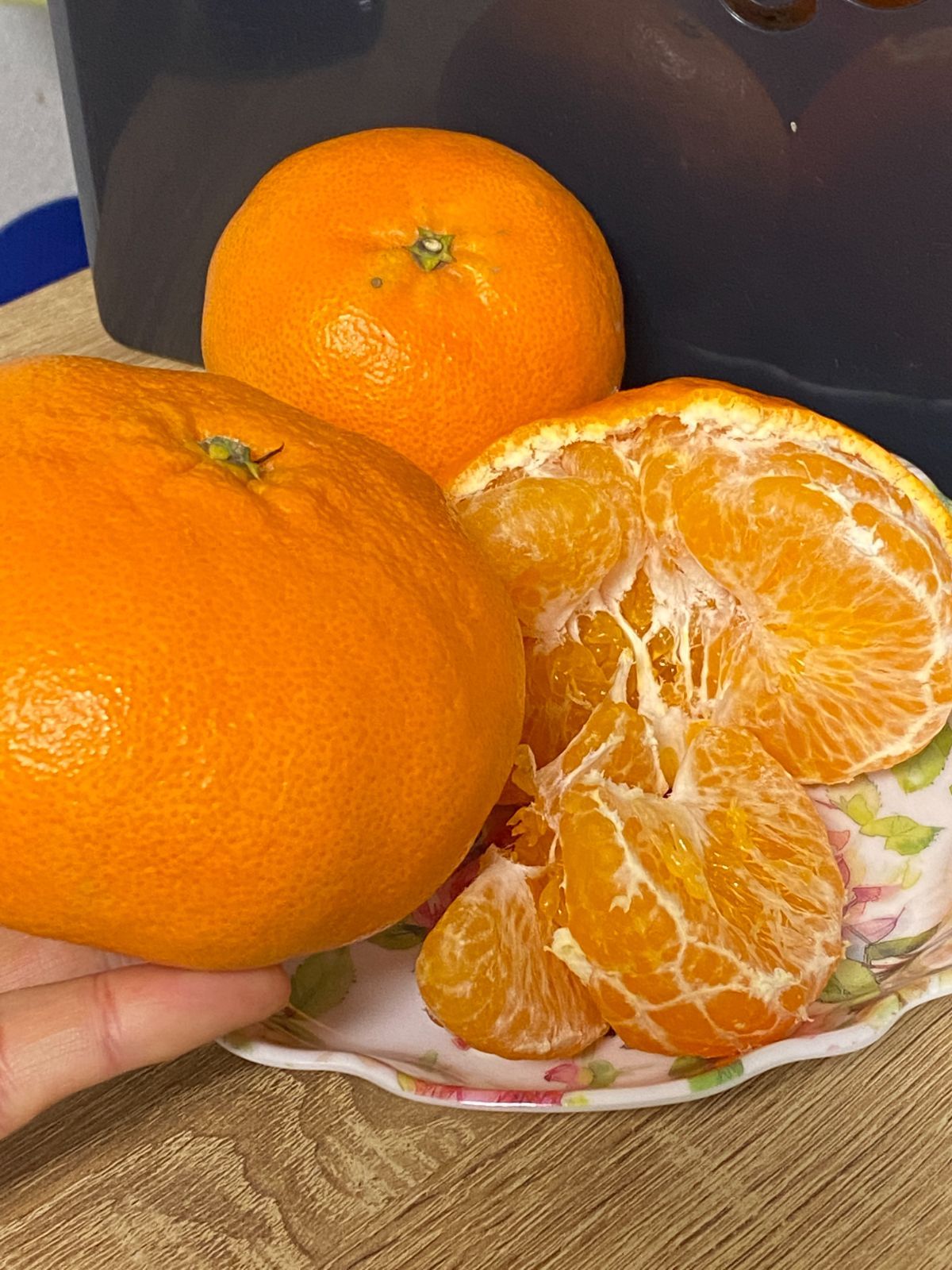 のサムネイル