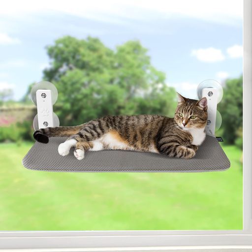 B424h「桐に竜胆唐草蒔絵 香合」黒漆塗 木地 香道具 茶道具 古桐