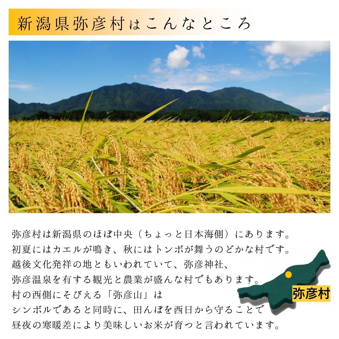 のサムネイル