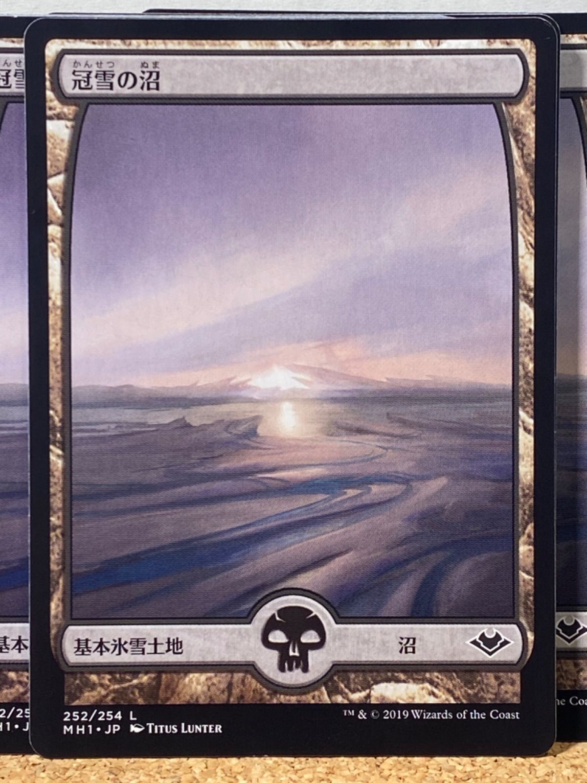 MTG モダンホライゾン 基本氷雪土地 冠雪の沼 Snow-Covered Swamp 252/254 フルアート 日本語 10枚セット - メルカリ