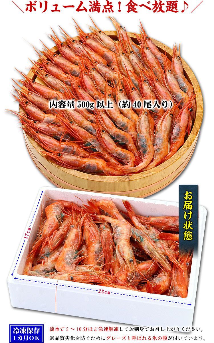 🦐 子持ち越前甘えび500g/約40尾入り【エビ】【えび】【海老】【あまえび】【アマエビ】【甘エビ】【甲羅組】