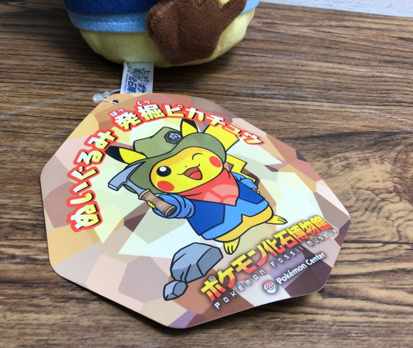 2027 ポケモン化石博物館限定 ぬいぐるみ 発掘ピカチュウ 図録