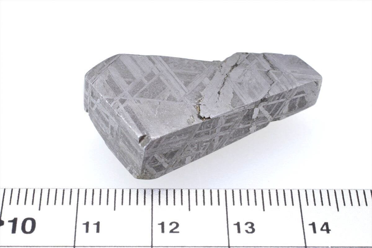上品 ムオニナルスタ ムオニオナルスタ 25g スライス カット 標本 隕石
