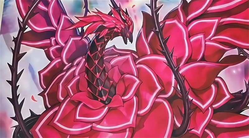 遊戯王OCG プレイマット ブラッドローズドラゴン Amazon | Mlikemat プレイマット ブラックローズドラゴン TCG