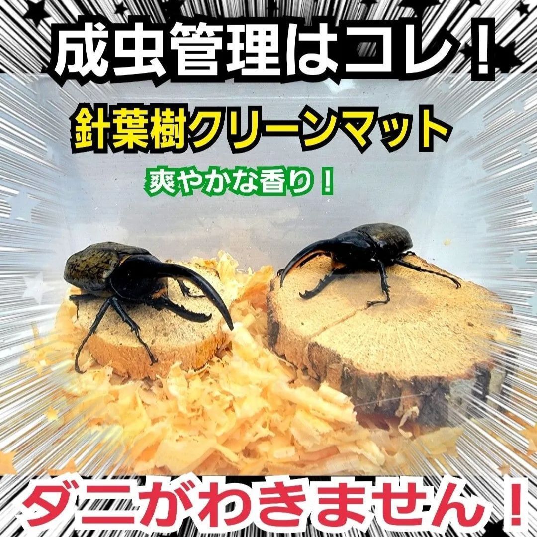 クワガタ、カブトムシの成虫管理はコレ！爽やか香りの針葉樹マット☆ダニも湧き