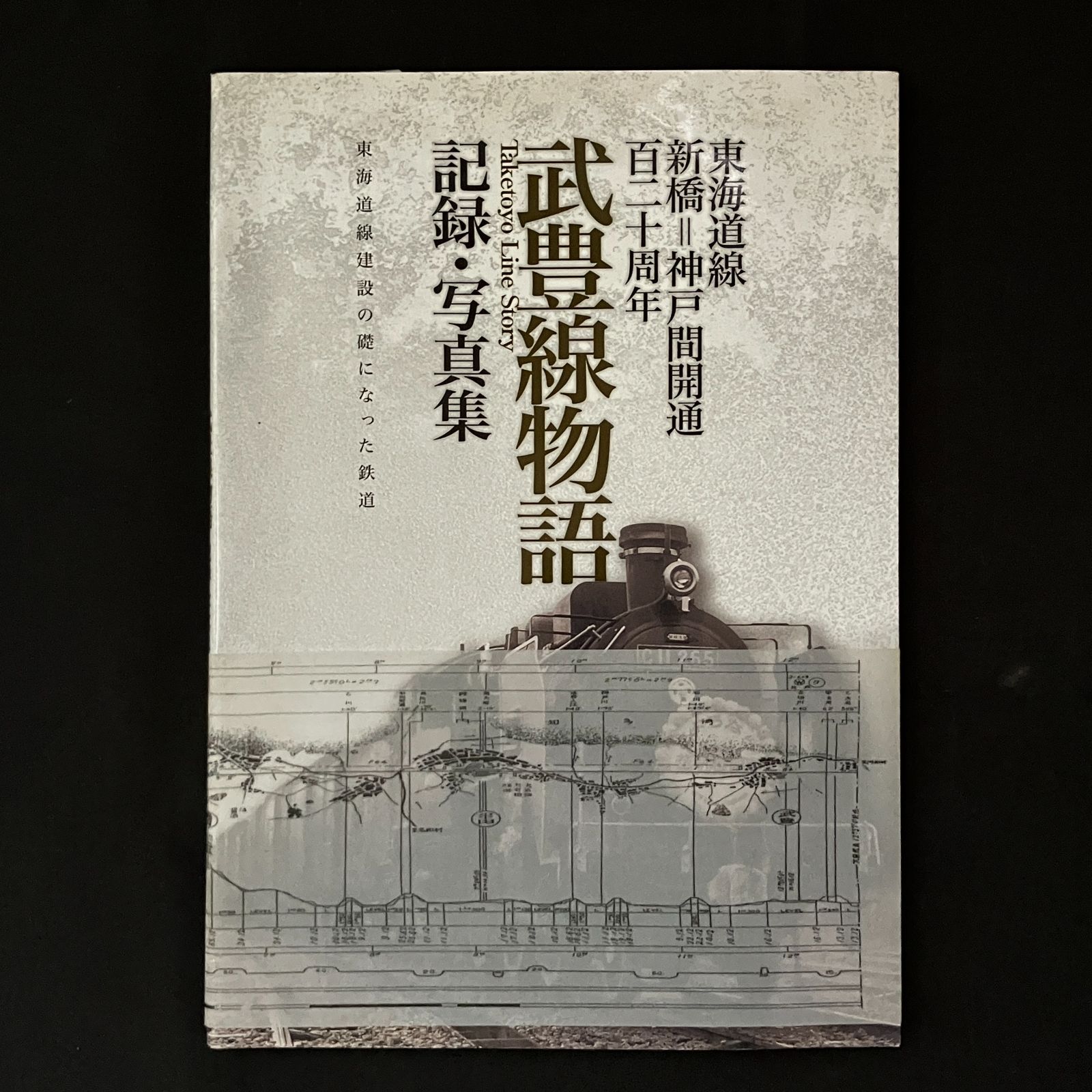 武豊線物語(記録・写真集) 東海道線新橋=神戸間開通百二十周年 武豊線物語 : 記録・写真集 : 東海道線新橋=神戸間開通百二十