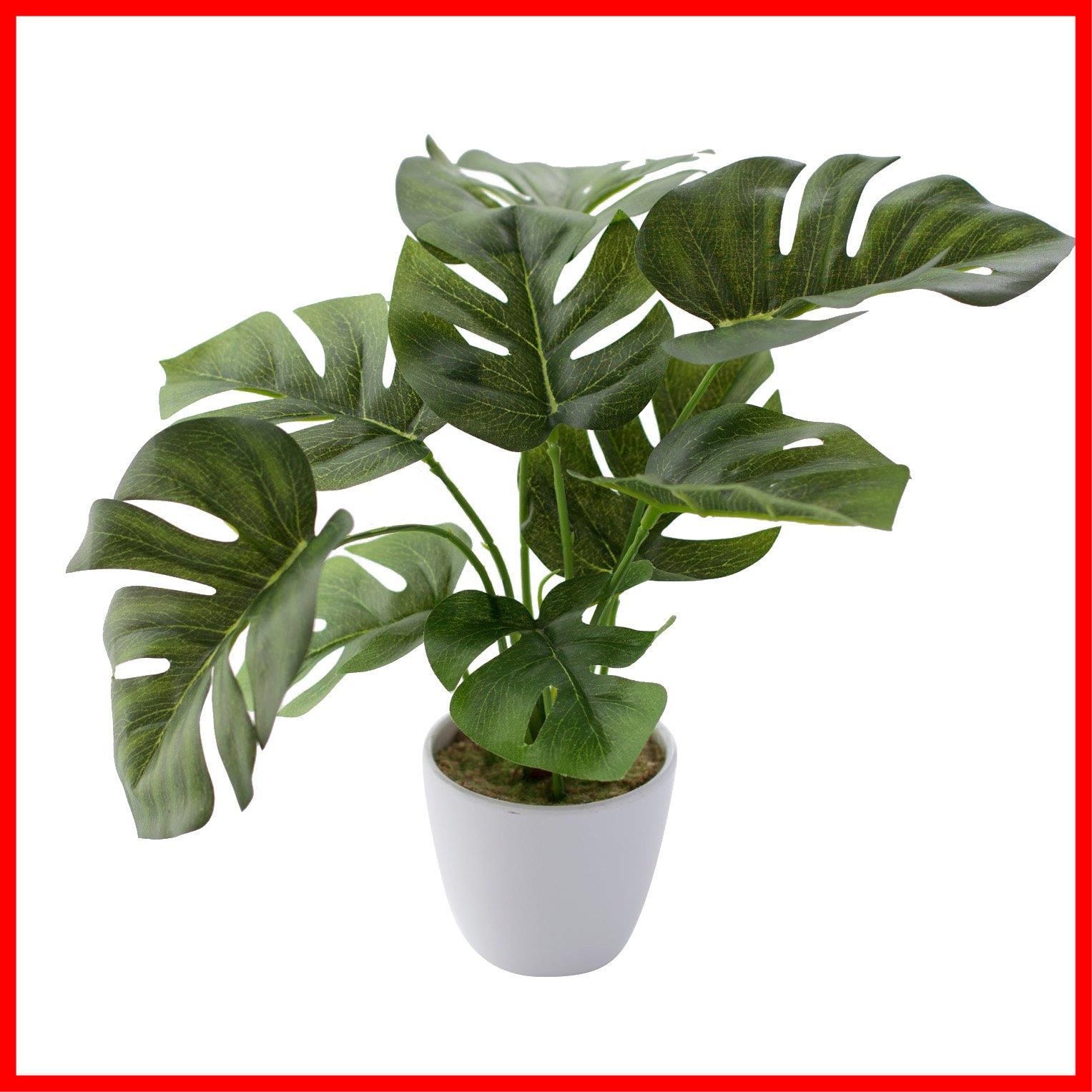 ミニ モンステラ フェイクグリーン ポット Story MH 1003 Flower 高さ23 cm 神戸花物語 Kobe