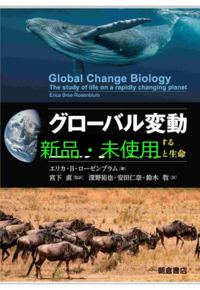 韓国語教材 まとめ売り 文法 辞典 単語帳 教科書 単語集