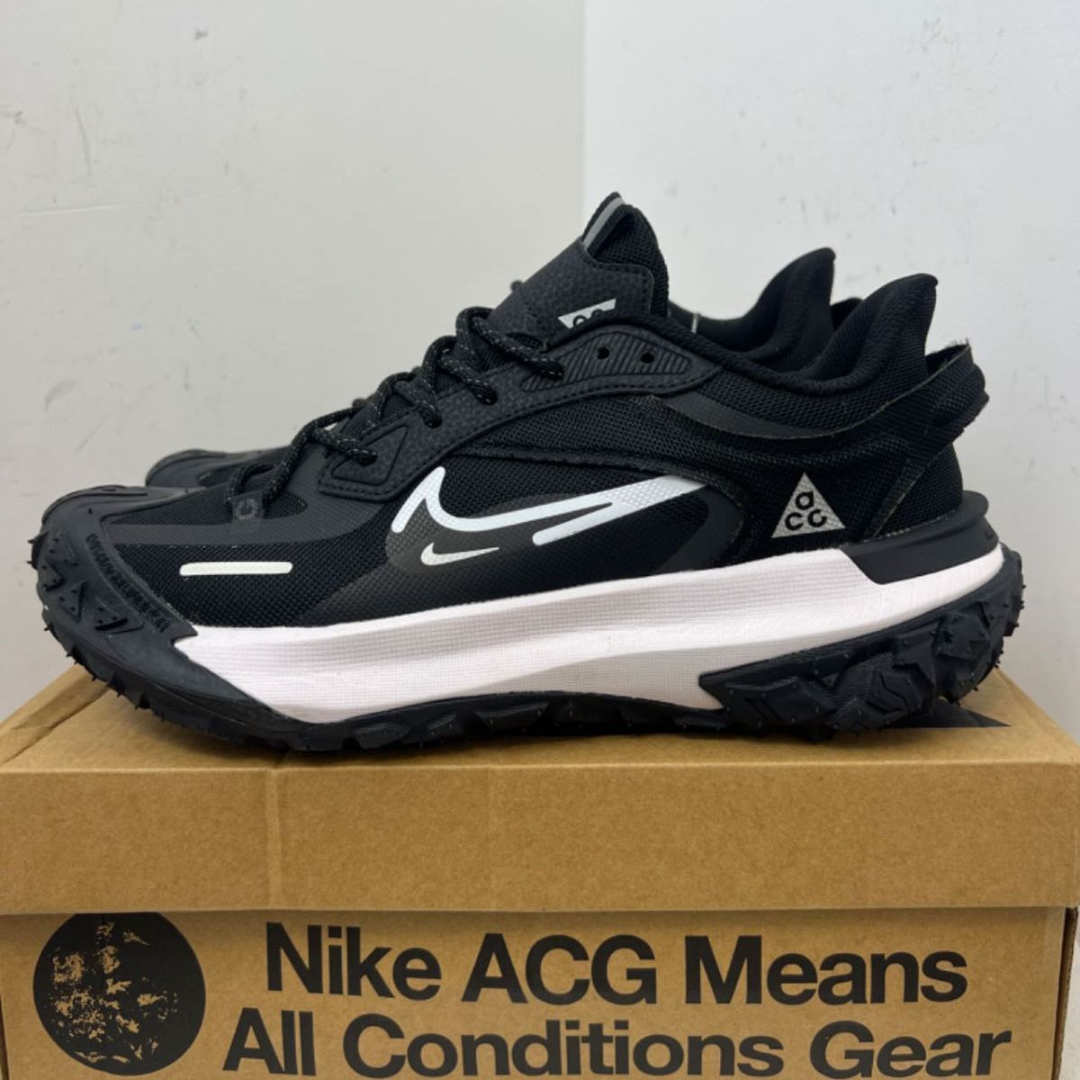 NIKE ナイキ ACG マウンテン フライ ロー acg mountain fly 2 low