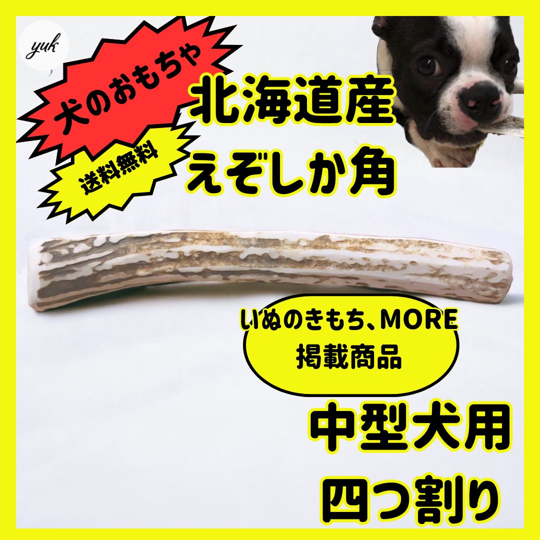 送料無料】🐶中型犬用🐶四つ割り🦌北海道産エゾ鹿の角🦌犬のおもちゃ