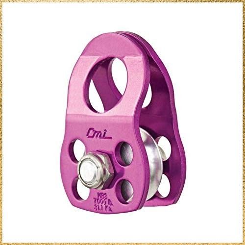 彡 でお届け CMIレスキューマイクロプーリーミョウバンS