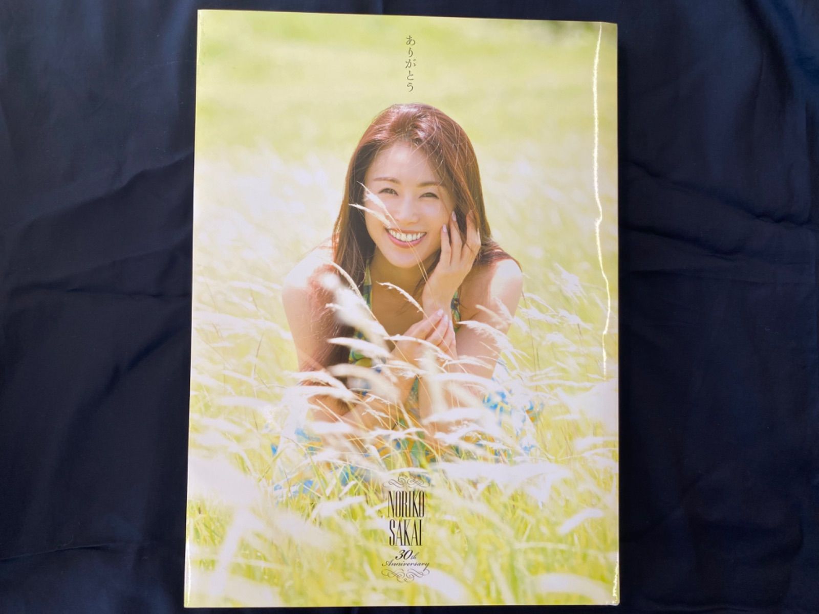 30th Anniversary BOX 完全撮り下ろしDVD 写真集 酒井法子 酒井法子