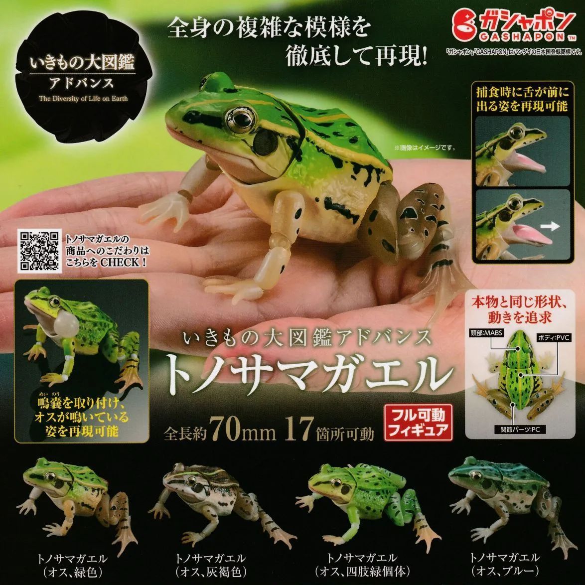 印象のデザイン いきもの大図鑑アドバンス トノサマガエル【全4種 フルコンプ その他