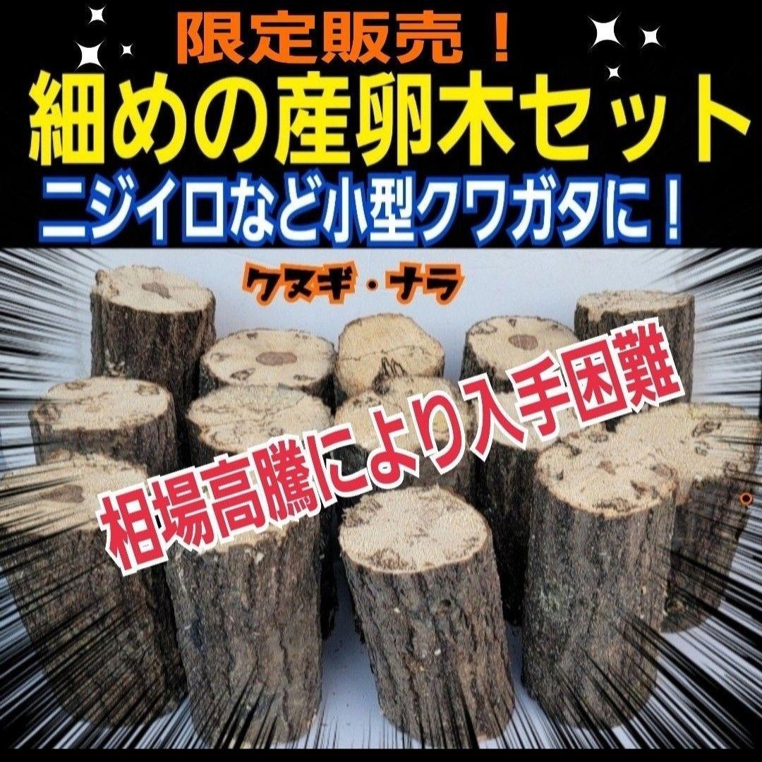 細めの産卵木【6本】クヌギ・ナラ☆ニジイロクワガタ、コクワガタなど小型種に最適！ - メルカリ