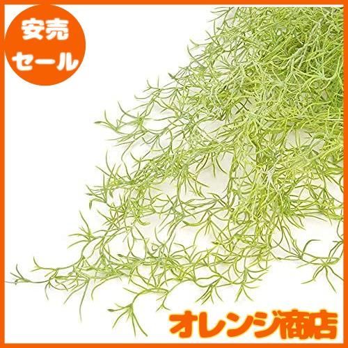 のサムネイル