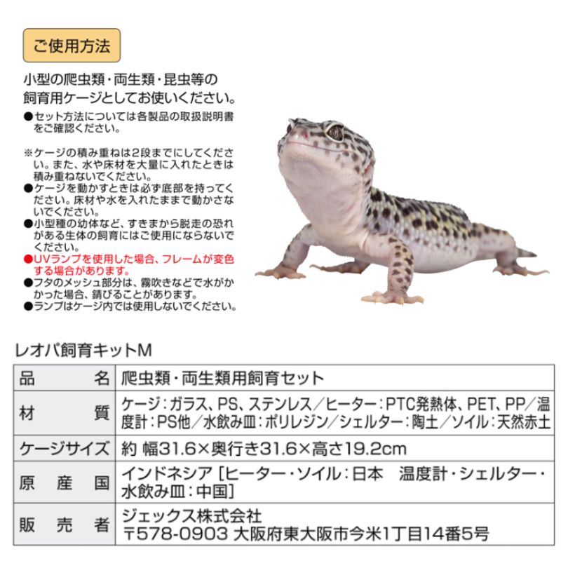 爬虫類 多頭飼い