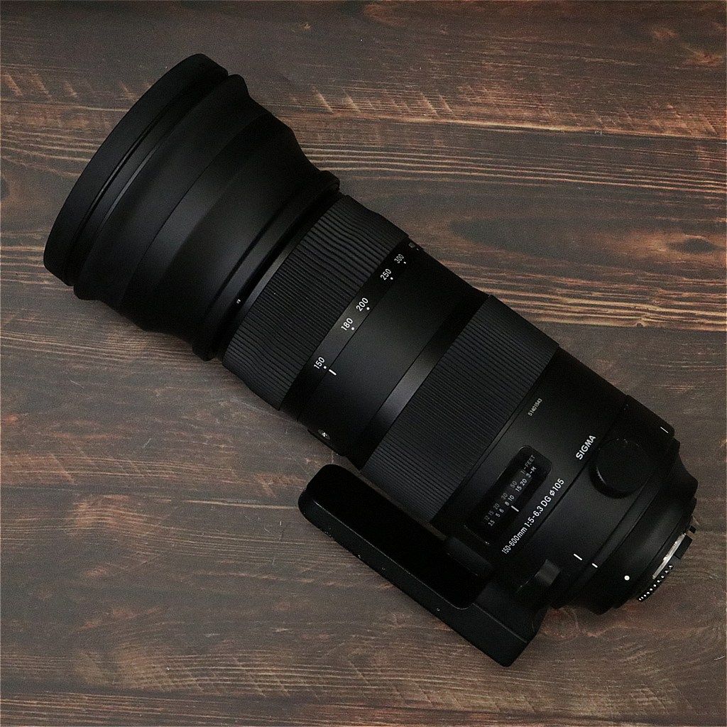 SIGMA 150-600㎜ F5-6.3（Nikon） 美品 並品】 Sigma 150-600mm F5-6.3