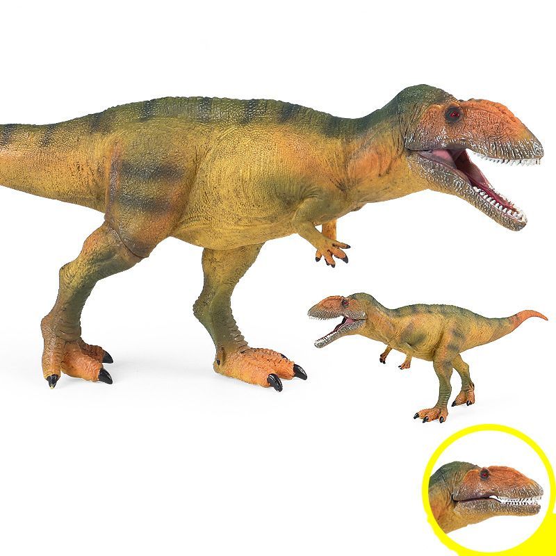 GRTOYS&haolonggood カルカロドントサウルス 限定スタチュー Amazon | GR TOYS × HAOLONGGOOD 1/35 サイズ カルカロドント
