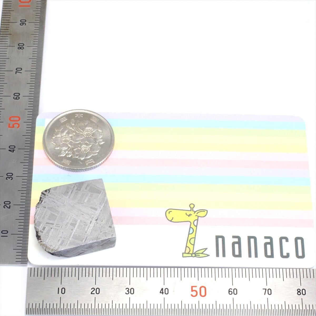 ムオニナルスタ隕石　ムオニオナルスタ隕石　この大きさ！この重量感！ ムオニナルスタ隕石 ムオニオナルスタ隕石 この大きさ！この重量