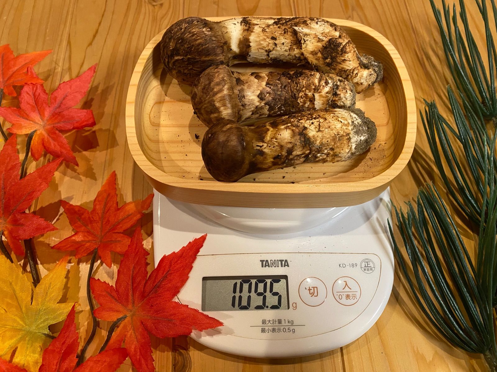 126g 食品 クール便 松茸 北海道産 9/9朝採れ 109g 良品