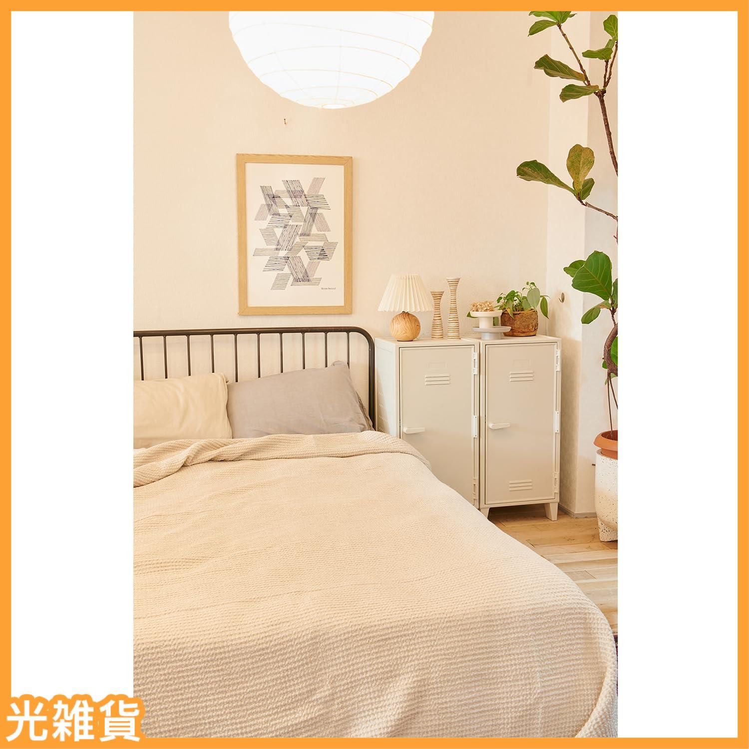 ☆人気商品☆天馬 バッゾ VAZZO ロッカー型 収納 レトロ ペグ