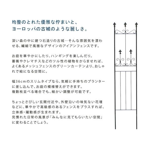 ホワイト