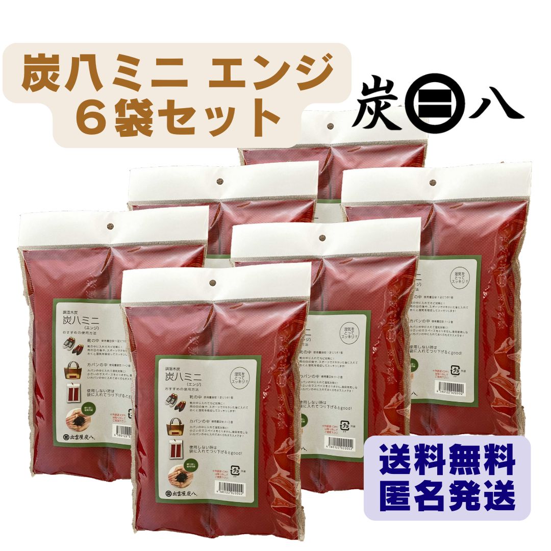 クーポン有 炭八ミニ エンジ ６セット 各２本入 出雲カーボン 除湿剤