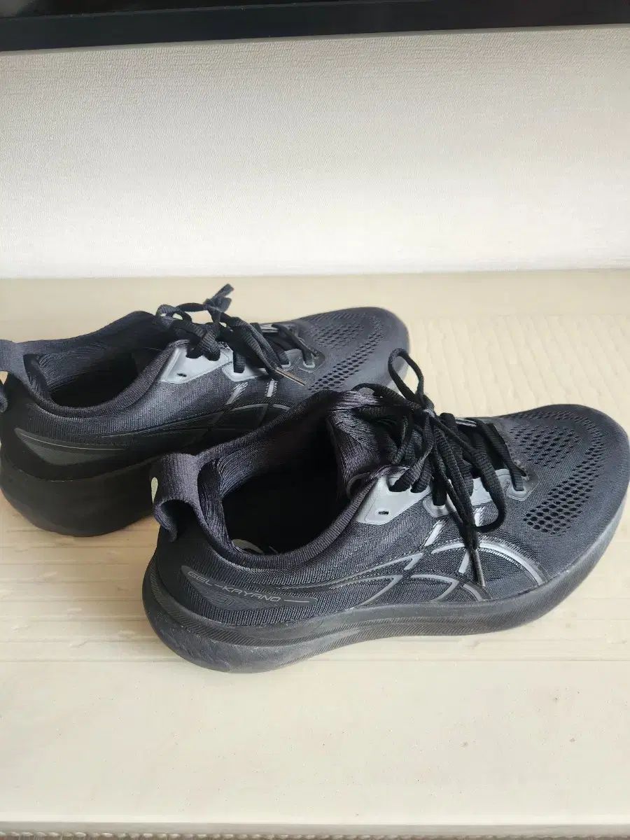 Asics アシックス ゲル ゲル カヤノ 31 4E 255