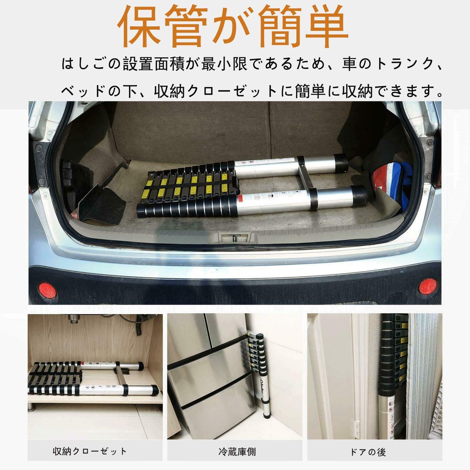m 最長2.6