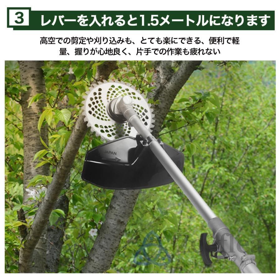 植木