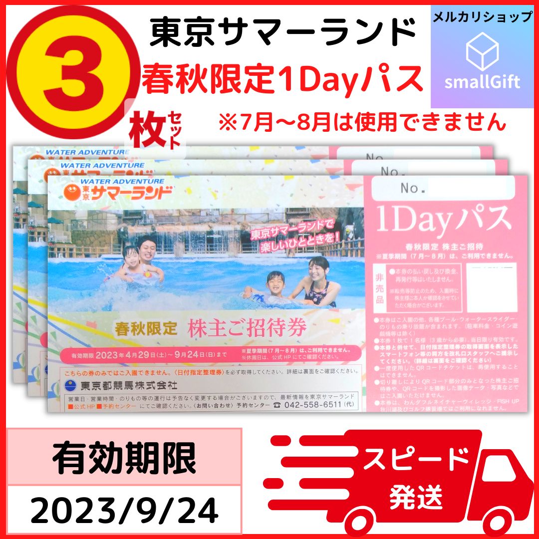 お急ぎメルカリ便】サマーランド１DAYパス チケット 株主ご招待券 3枚j つよく