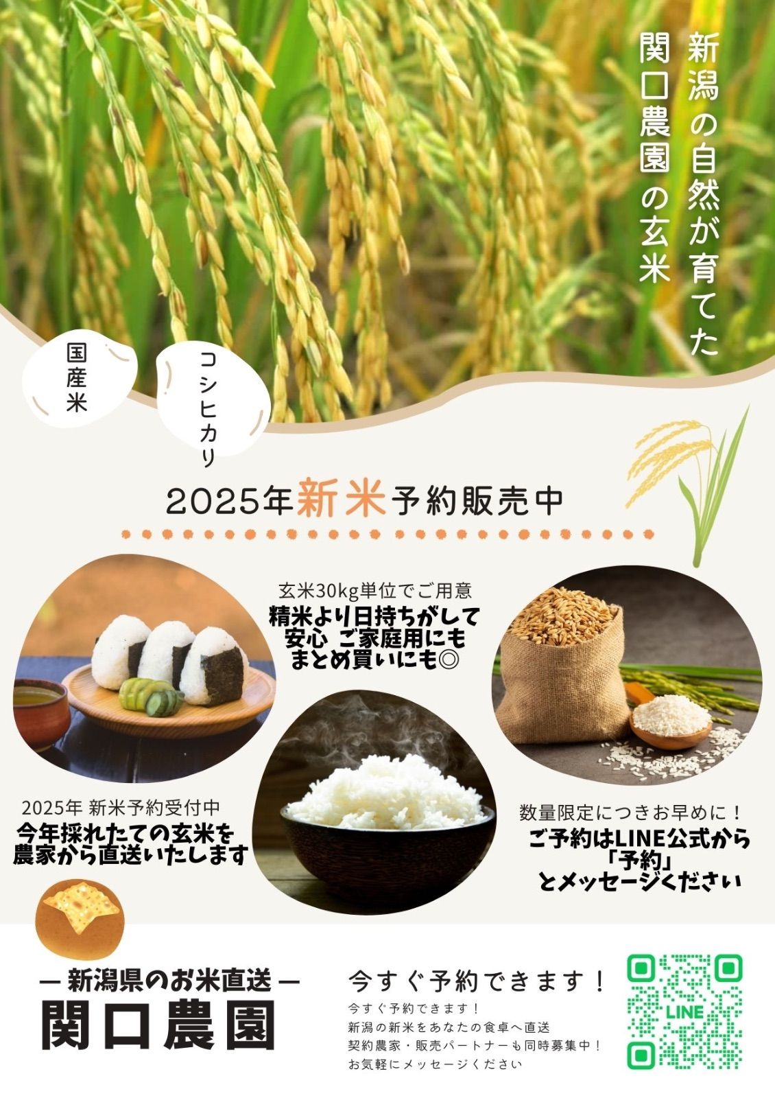 群馬県産 コシヒカリ R6年産 新米 30キロ 玄米 1袋 送料別 ② コシヒカリ