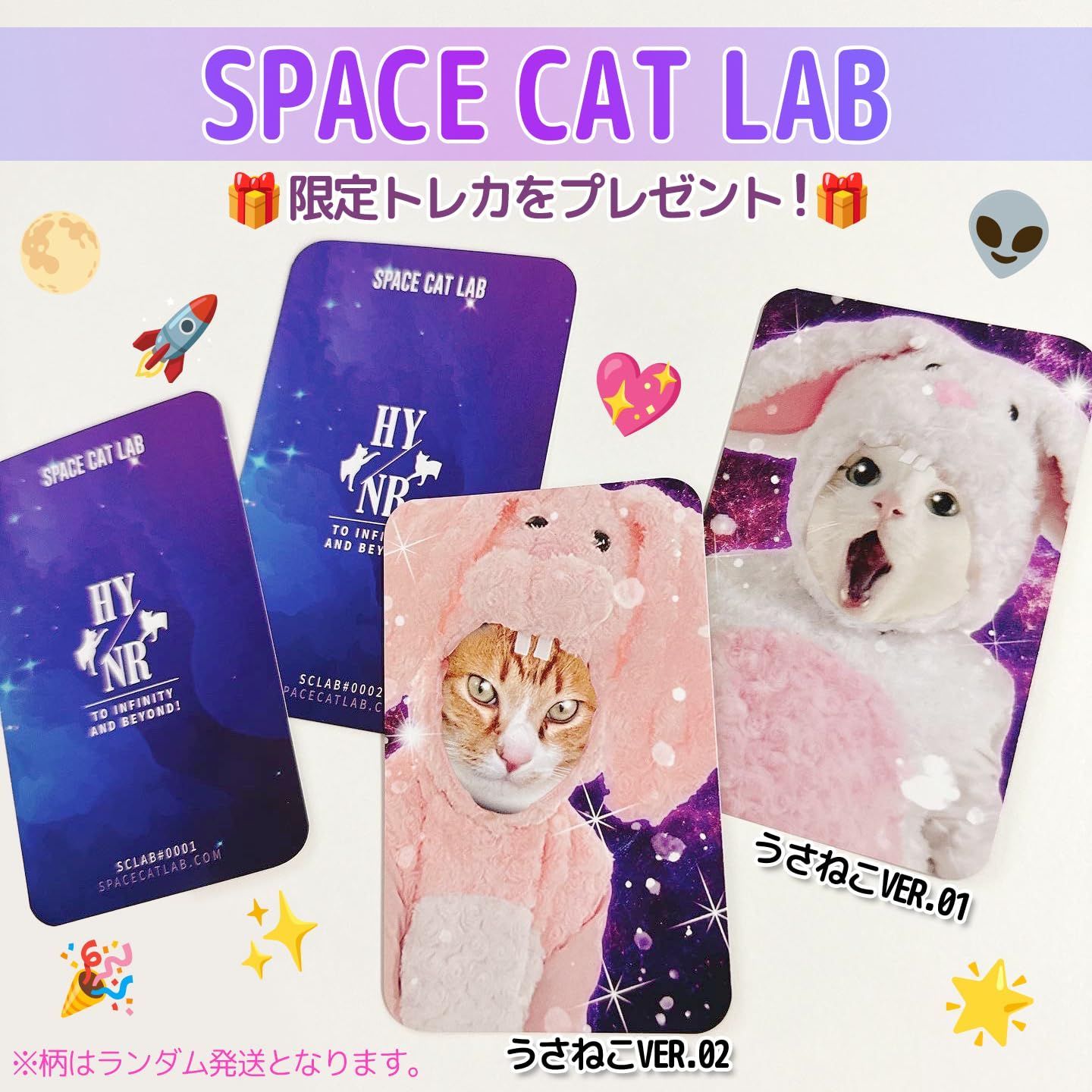 n.SSign デビューショーケース 猫トレカ 【ジュニョク】 SCLAB トレカ ホルダー ケース しっぽねこ タグ付き フォト