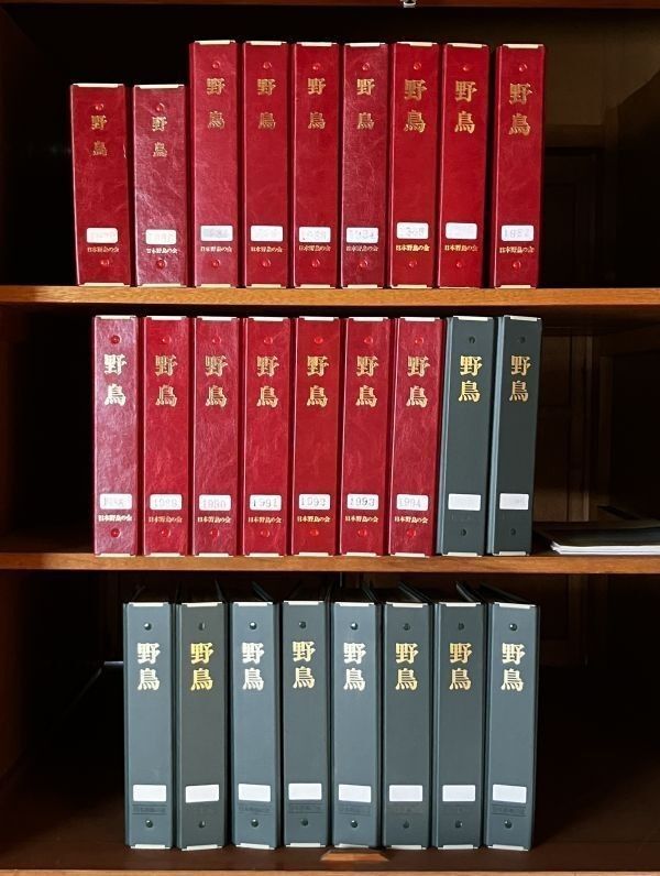 【26年分】「野鳥」日本野鳥の会 会報 1979?2004年 312冊セット まとめ売り　全てバインダー付き　バードウォッチング　OSI1yn