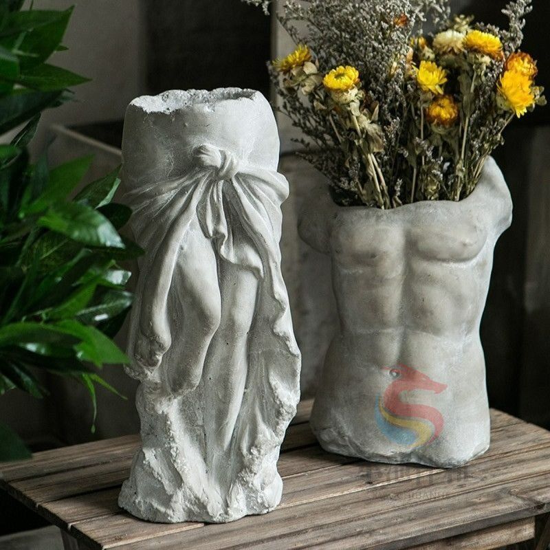 フィカス クライギー ディシェリ 引取り限定 植物 インテリア フィカス