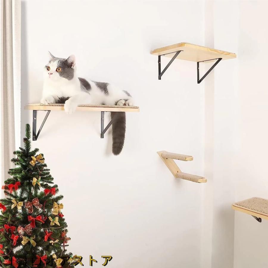 猫用