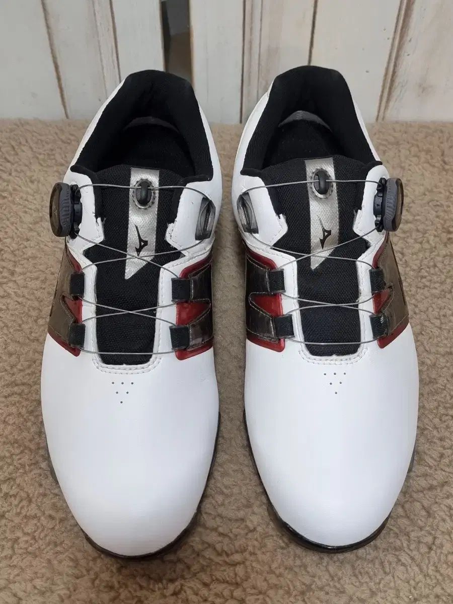 ミズノ ヴァルチャー